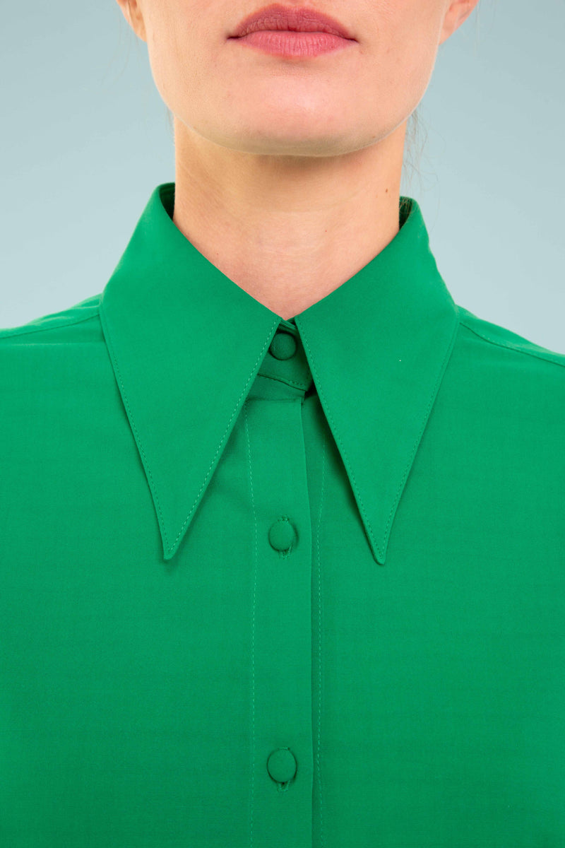 Pointed Collar Blouse in Green