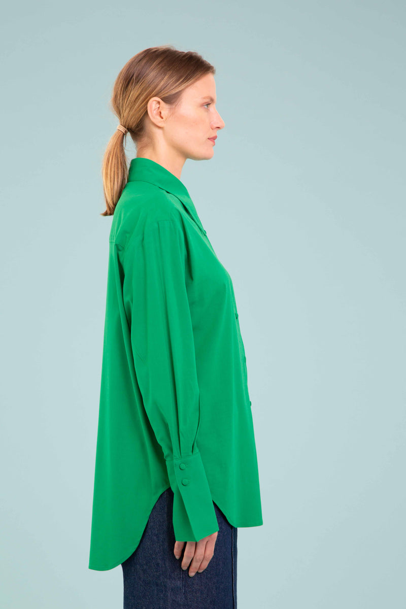 Pointed Collar Blouse in Green