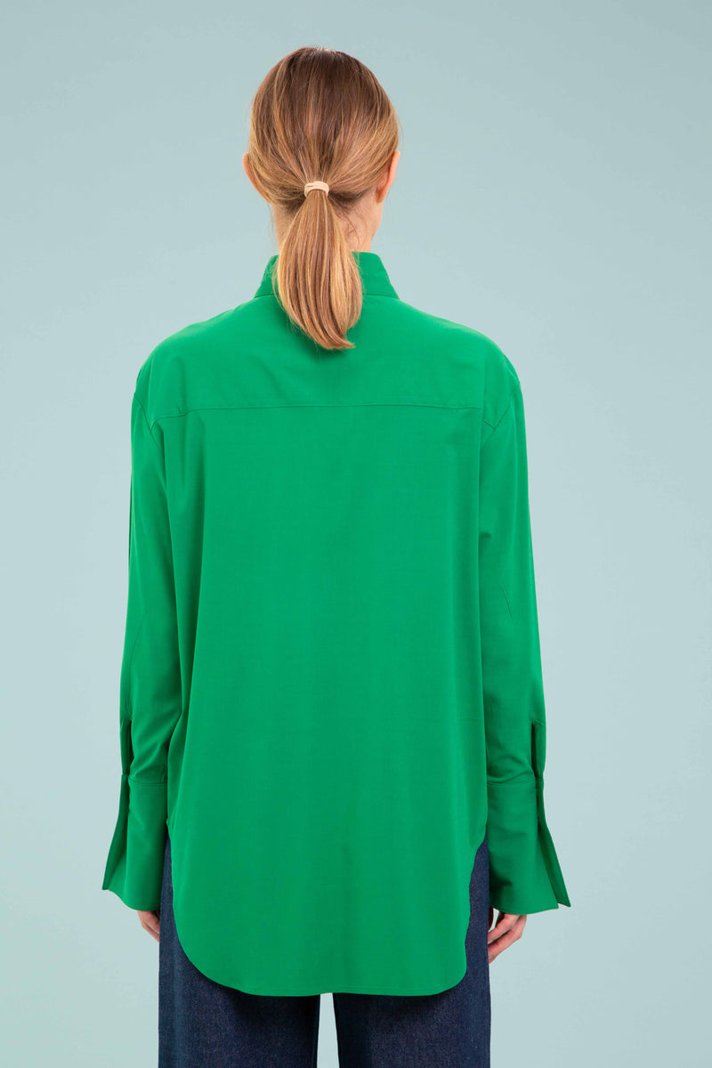 Pointed Collar Blouse in Green